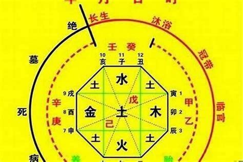 八字重缺點|八字重缺點5大優點! 獨家資料! (2024年更新)